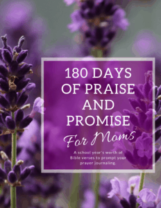 180 Days of Praise and Promise for Moms - A School Year Prayer Journal