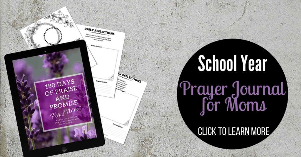 180 Days of Praise and Promise for Moms - Prayer Journal