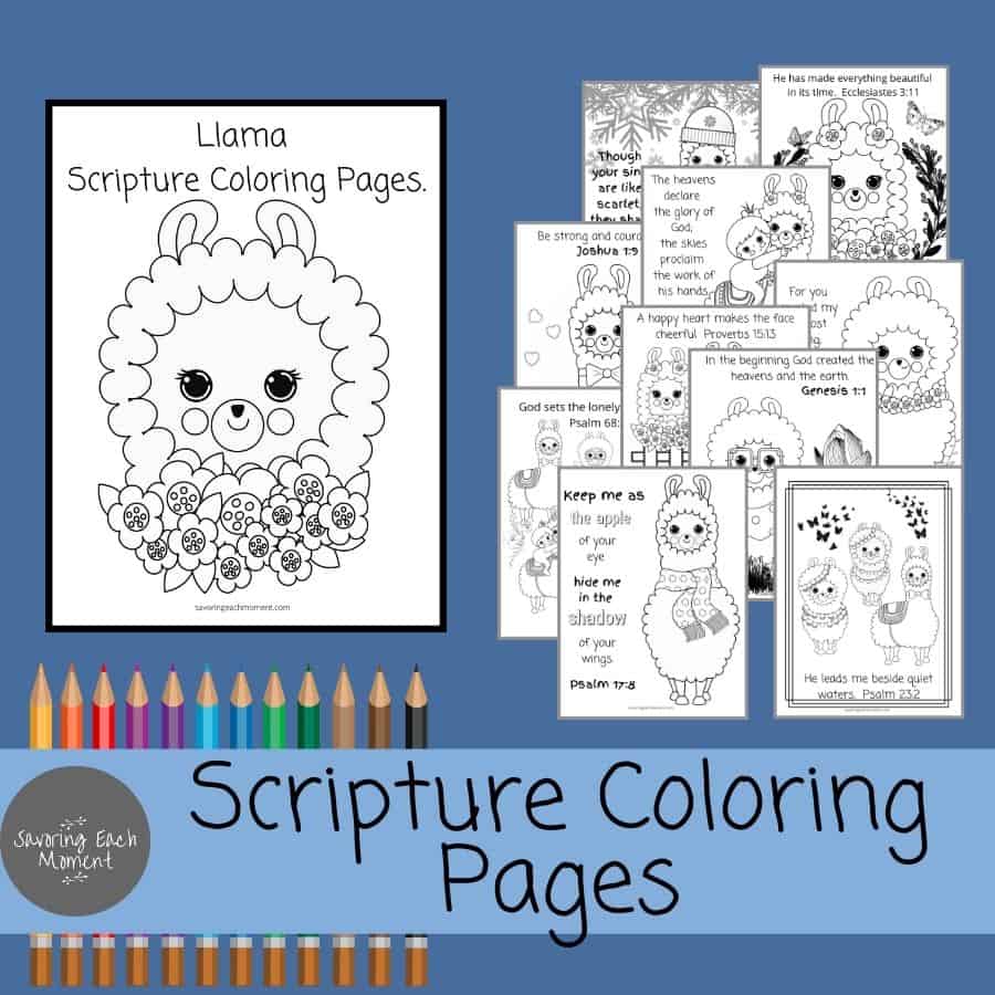 Scripture Coloring Pages - Llamas and Alpacas