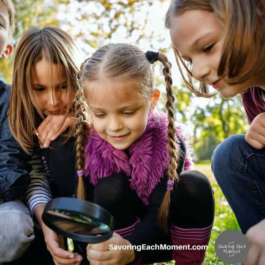 exploring nature with children